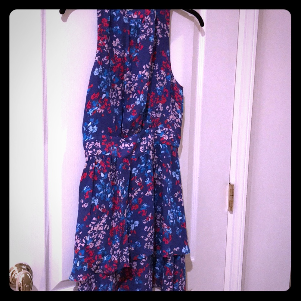 Classic Size 2 Parker Dress
